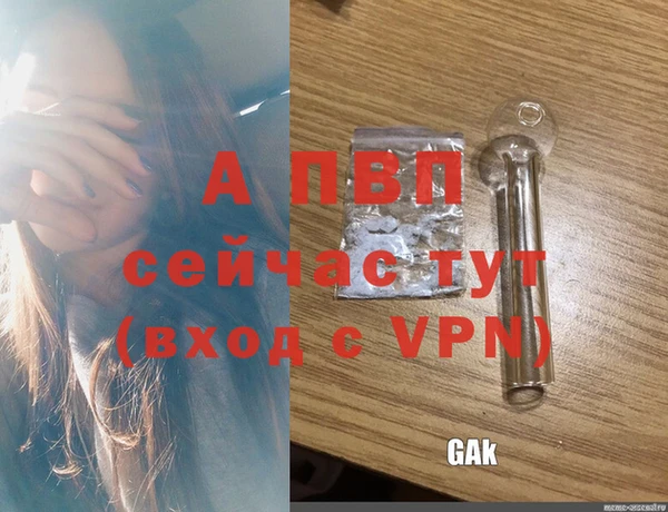 стафф Верхний Тагил
