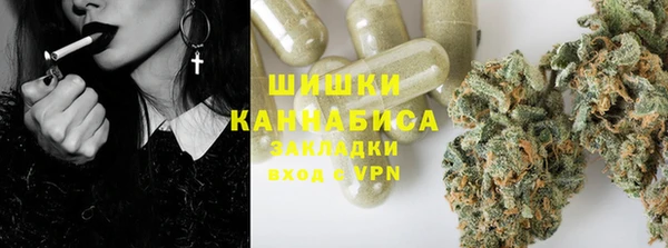 стафф Верхний Тагил